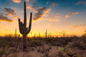 Arizona landscape at sunset