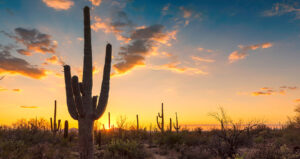 Arizona landscape at sunset