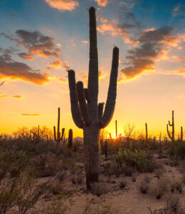 Arizona landscape at sunset